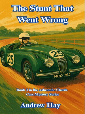 cover image of The Stunt That Went Wrong